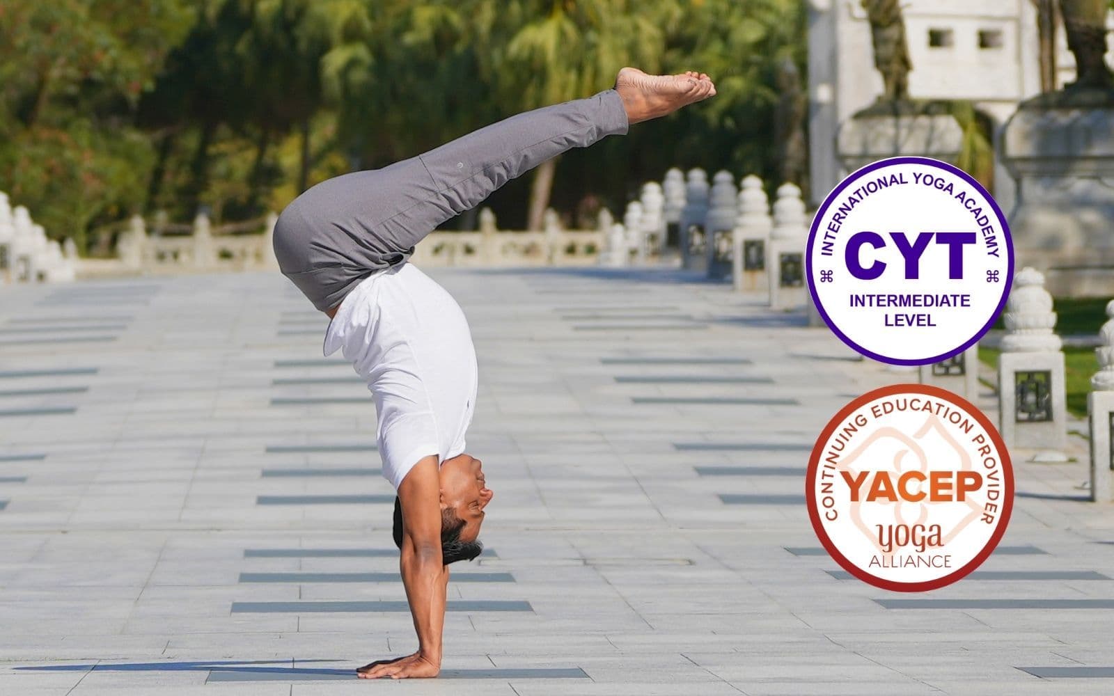 100hrs Inversion Teacher Training Online Course