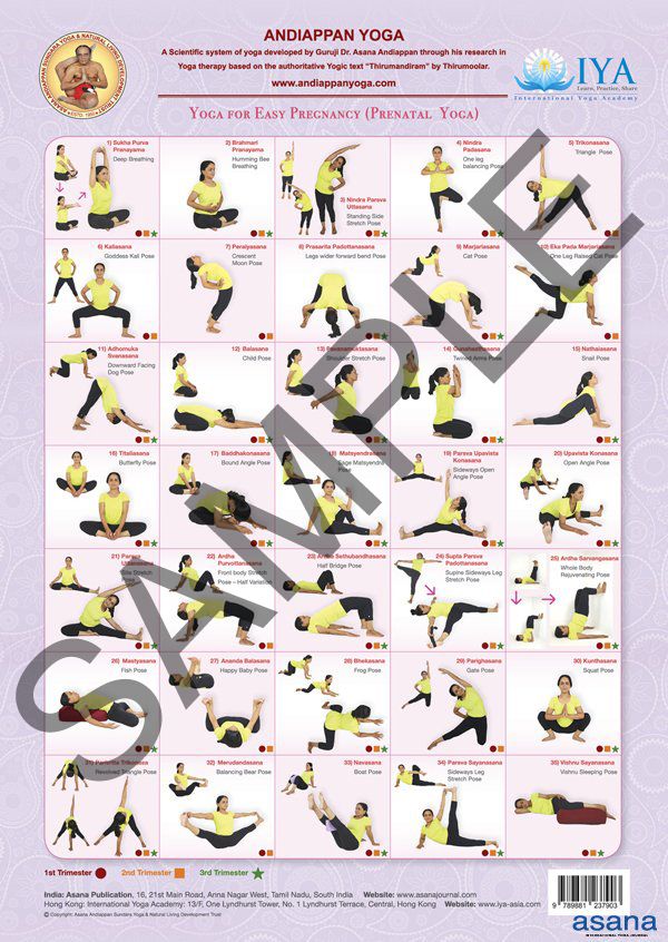 Prenatal Yoga- Wall Poster